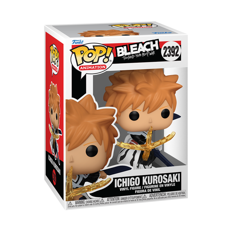 Ichigo Kurosaki with Dual Zangetsu Swords #2392