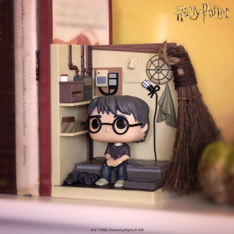 Harry Potter in Cupboard